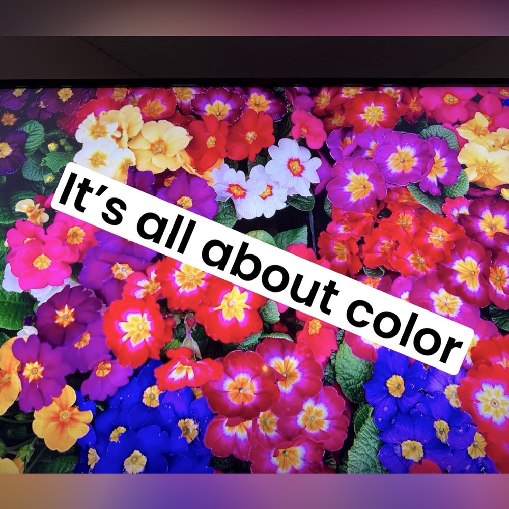 Colorful clothes
